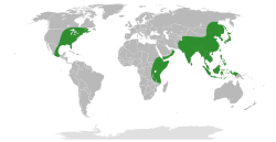 Distribución natural de Arisaema.