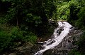 Waterfalls in Kerala