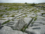 Typischer Burren