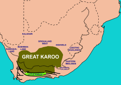 Extent of the Karoo (olive-green) and Klein Karoo (bright green) in South Africa, with the names of surrounding areas in blue. The thick interrupted line indicates the course of the Great Escarpment which delimits the Central South African Plateau. To the immediate south and south-west the solid lines trace the parallel ranges of the Cape Fold Belt.[1]