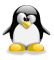 Tux Crystal Segunda revisión