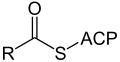 Struktur von Acyl-ACP, 1 C dargestellt} English: Structure of acyl-ACP, 1 C shown