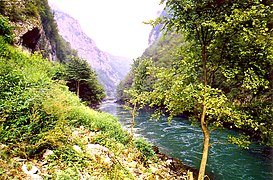 18.7.09 Vrbas-Fluss