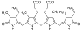 de: Struktur von Bilirubin en: Structure of bilirubin