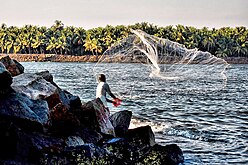 பாறைகளிலிருந்து வலை வீசும் மீனவர்