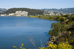 View of Albany from Albany Bulb, with Albany Hill on the left