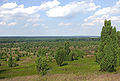 Blueberry-covered sandy heath on the northern slope