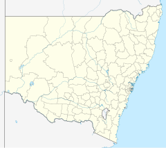 Ironman Australia (New South Wales)