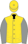 Yellow, grey sleeves