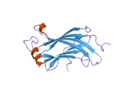 2foo: The crystal structure of the N-terminal domain of HAUSP/USP7 complexed with p53 peptide 359-362