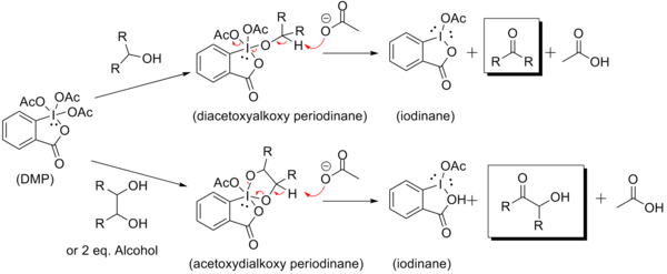 DMP Mechanism