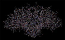 Modello tridimensionale dell'enzima