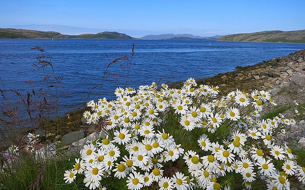 Arctic Ocean summer (Norway)