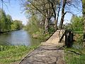 die Spree bei Lübben