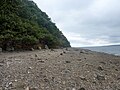 La grève le long du bois du Loc'h (littoral sud de la Rivière du Faou, sud de la rade de Brest).