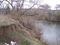 Bosque jõe kallas, Texas, USA