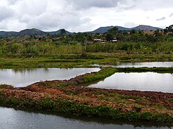 Ponds in Songea