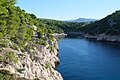 * Nomination: Port-Pin calanque, Calanques National Park. --Kallerna 07:47, 21 September 2024 (UTC) * * Review needed