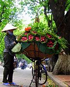 Vendeuse de bouquets de lotus dans la rue à Hanoi (Viet Nam).