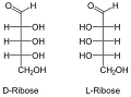 Enantiomere der Ribose in Fischer-Projektion