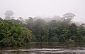 Image 46The Coppename river, one of many rivers in the interior (from Suriname)