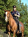 English: A police officer and her horse Suomi: Ratsupoliisi