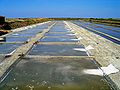 Les marais salants occupent 1/6e de la surface totale de l'île de Ré.