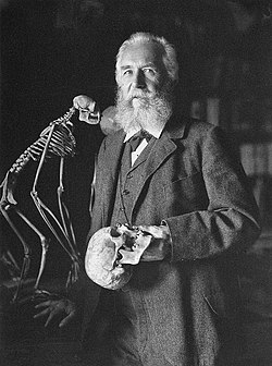 Ernst Haeckel.