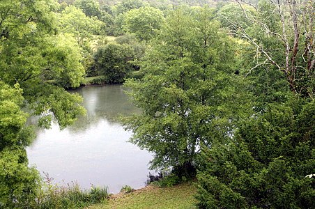 Die aufgestaute Nizonne bei Lavergne