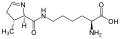 Pyrrolysine (Pyl / O)