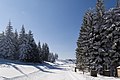 * Nomination Final 300m of the biathlon loop at the DKB Ski Arena in Oberhof, Germany --Ximeg 15:34, 18 March 2013 (UTC) * Promotion Good quality. --Jastrow 12:44, 22 March 2013 (UTC)