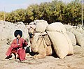 Turkmen camel driver