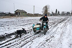 Nikolaevka Village, Kyshtovsky District