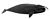 Bowhead whale illustration with an overall black body with a white patch on the jaw, and a large body