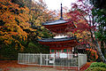 Dai-itoku-ji / 大威徳寺