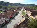 Situl rural Valea Viilor (monument istoric)