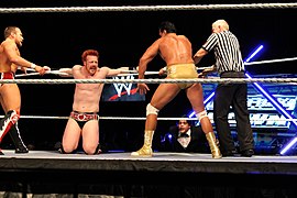 WWE Smackdown IMG 0373 (11704745565).jpg