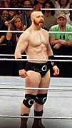 Sheamus March 2015.jpg