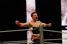 WWE Smackdown IMG 6017 (13795929003).jpg