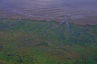 78. Platz: Utz Wöhleke mit Nordseeküste im Nationalpark Niedersächsisches Wattenmeer zwischen Carolinensiel und Neuharlingersiel mit Wattenflächen, Prielen und sich bildenden Salzwiesen