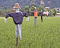 かかし en:Scarecrow, to protect crops against wild animals.