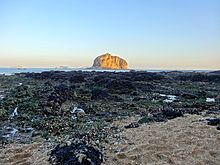 Rocks in intertidal zone completely covered by mussels, at Bangchuidao Scenic Area, Dalian, Liaoning Province, China