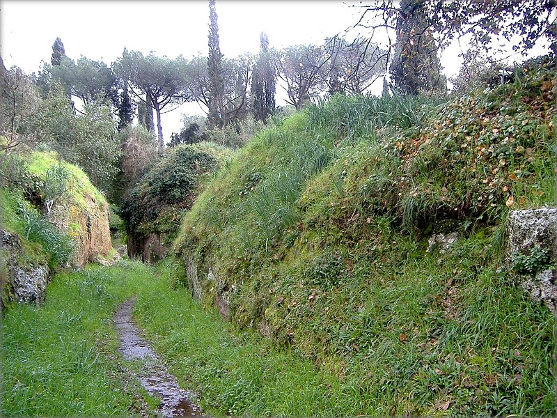 File:General view of necropolis (3269348364).jpg