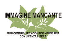 Immagine di Epilasia mancante