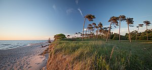 34. Platz: Pfeifermarkus79 Neu! mit Weststrand zwischen Ahrenshoop und Prerow im Nationalpark Vorpommersche Boddenlandschaft auf der Halbinsel Fischland-Darß-Zingst bei Sonnenuntergang