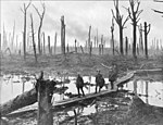 Chateau Wood, near Hooge in the Ypres salient, 29 October 1917. Frank Hurley, public domain