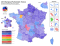 2014 European Parliament Election in France