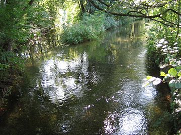 Zusammenfluss von Würmkanal und Feldmochinger Mühlbach