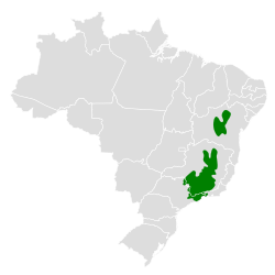 Distribución geográfica del tachurí gris.