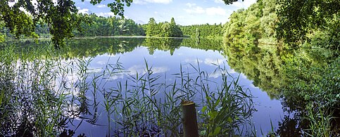 Großer Tännigweiher